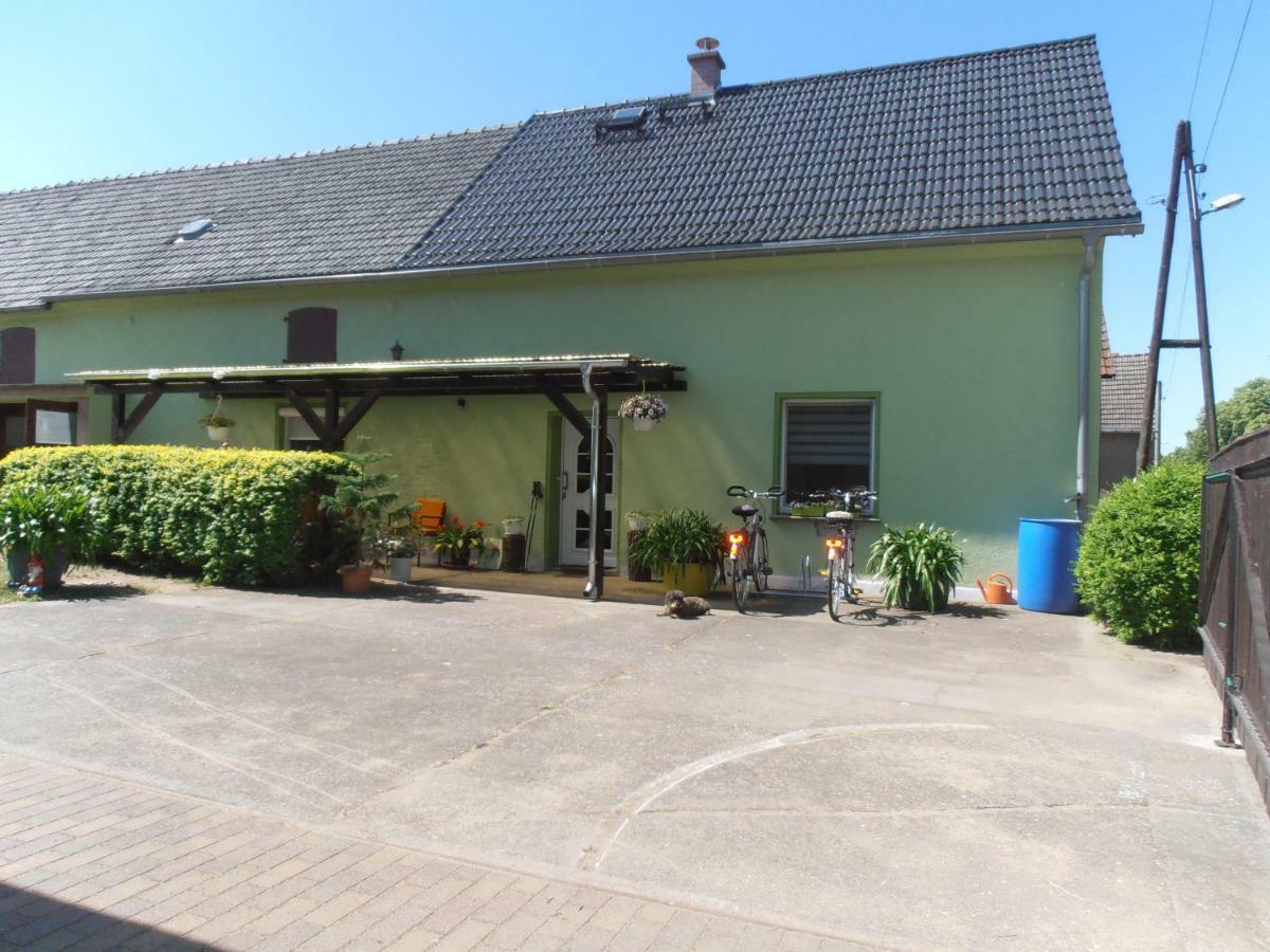 Ferienhaus Golm, 04924 Zobersdorf Bad Liebenwerda Buitenkant foto