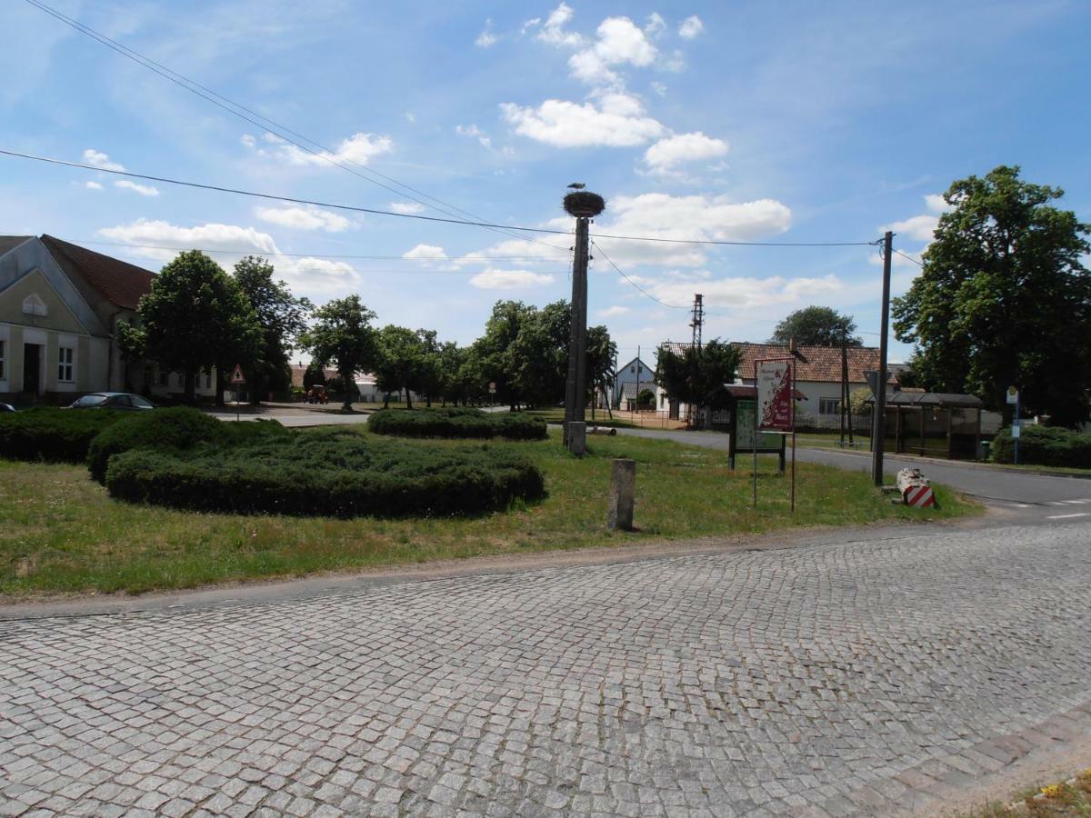 Ferienhaus Golm, 04924 Zobersdorf Bad Liebenwerda Buitenkant foto